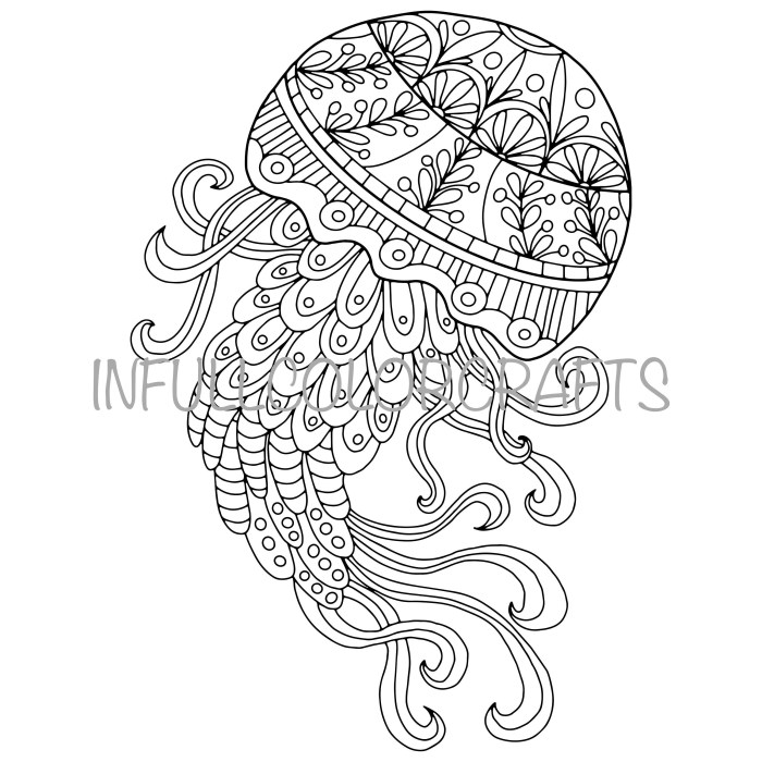 Coloring pages jellyfish