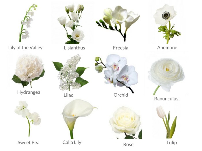 White names wedding flowers types flower guide confettidaydreams small essential floral choose board article