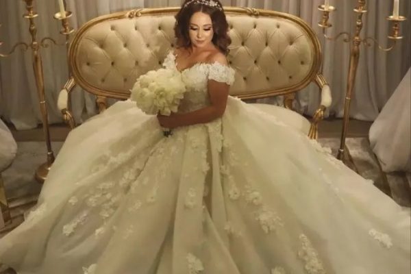 Ball gown plus size wedding dress