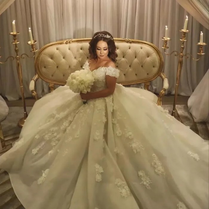 Ball gown plus size wedding dress