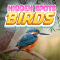 Hidden Spots – Birds